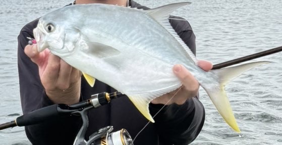 Pompano